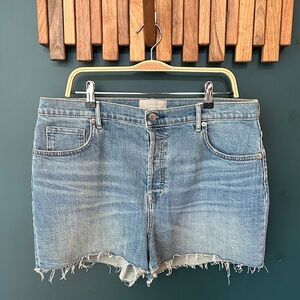 Everlane Light Blue Jean Shorts